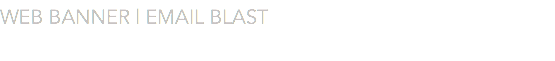 WEB BANNER | EMAIL BLAST